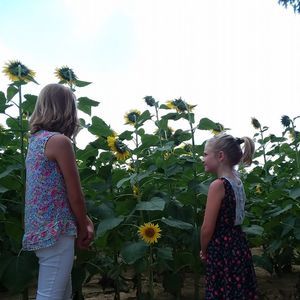 Meet your Posher, Crystal